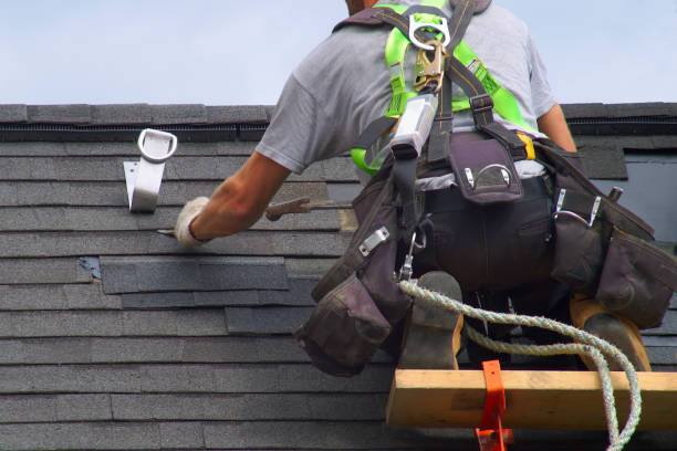 Best Roof Maintenance Services  in Pocola, OK