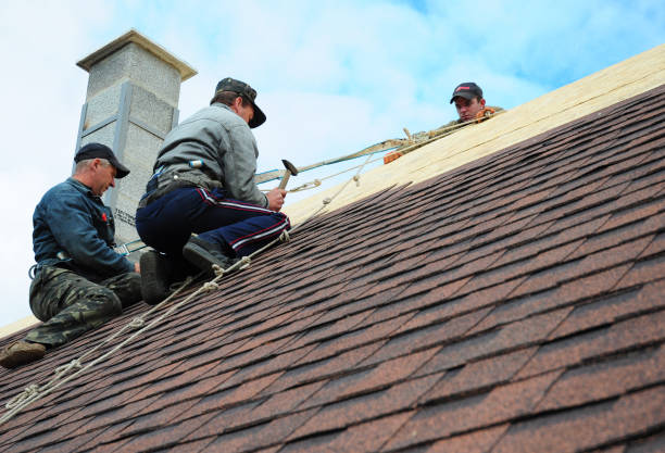 Best Sealant for Roof  in Pocola, OK